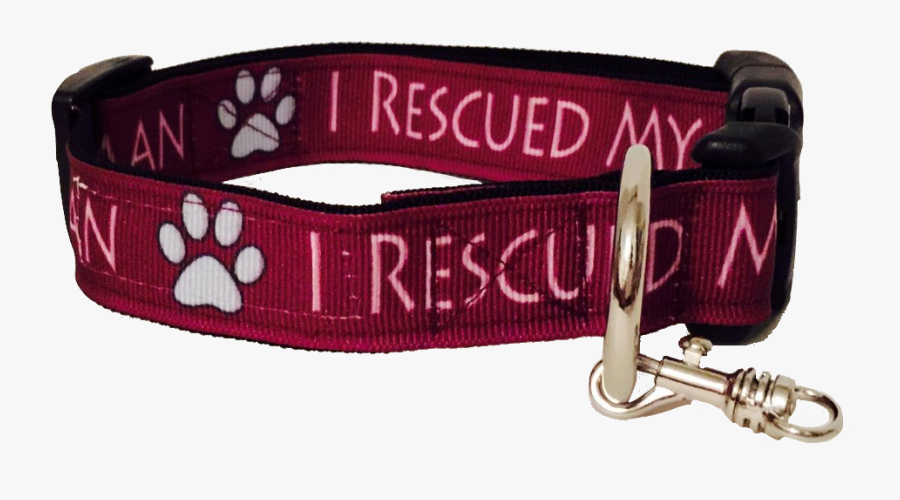 Transparent Dog Collar Clipart - Buckle, Transparent Clipart