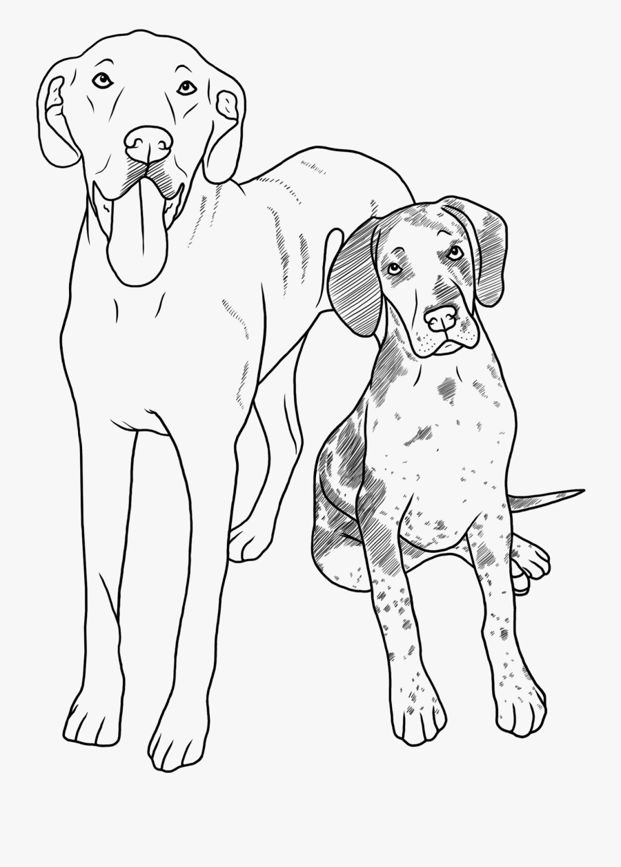 Transparent Great Dane Png - Dog Drawings Great Dane Mix, Transparent Clipart