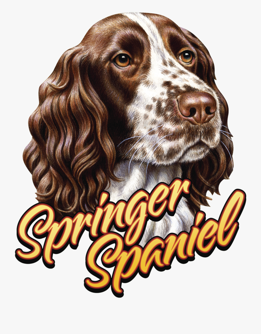 Great Dane Graphics - Springer Spaniel Inglés Caricatura, Transparent Clipart
