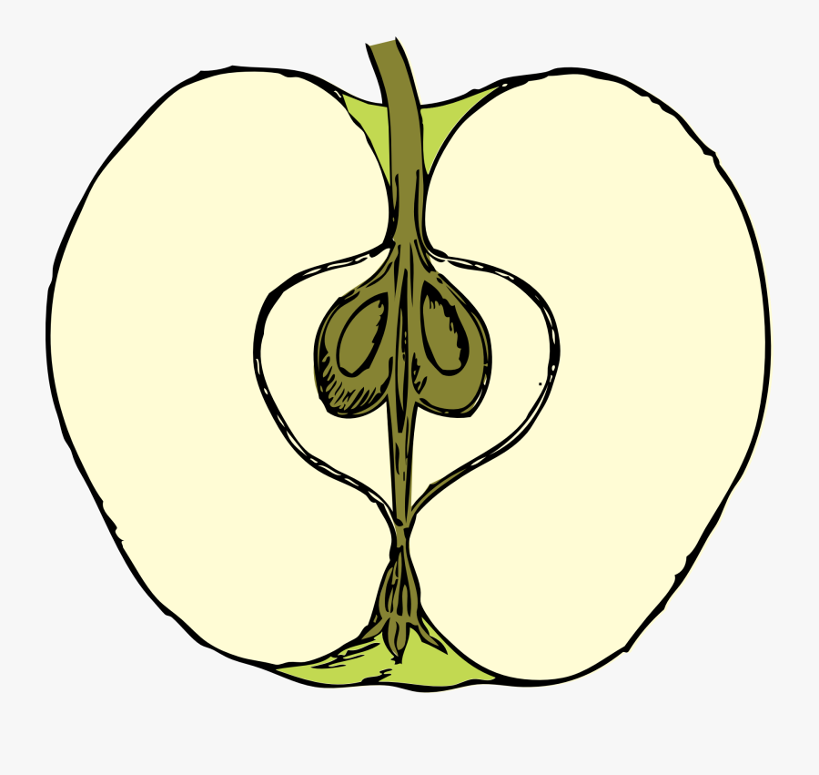 Caramel Apple Computer Icons Cross Section Food - Cross Section Of An Apple, Transparent Clipart