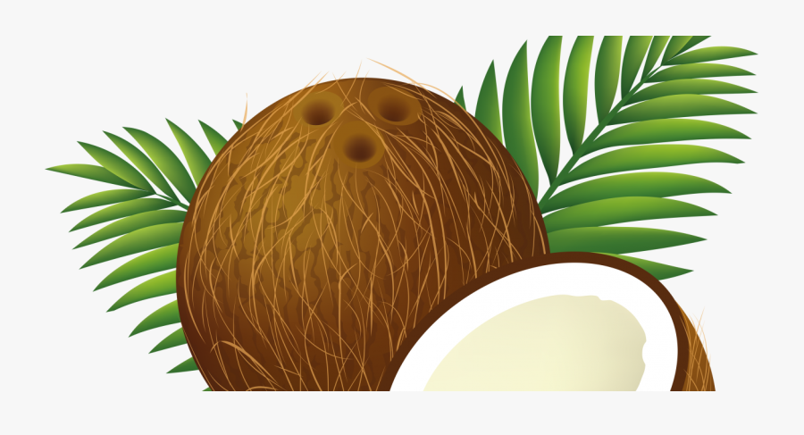 20 Things You Should Consider Not Buying - Clip Art Coconut Png, Transparent Clipart