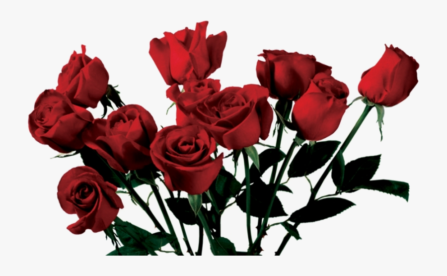 Rose Clipart Tumblr Aesthetic Free Transparent Png - Aesthetic Transparent Rose Png, Transparent Clipart