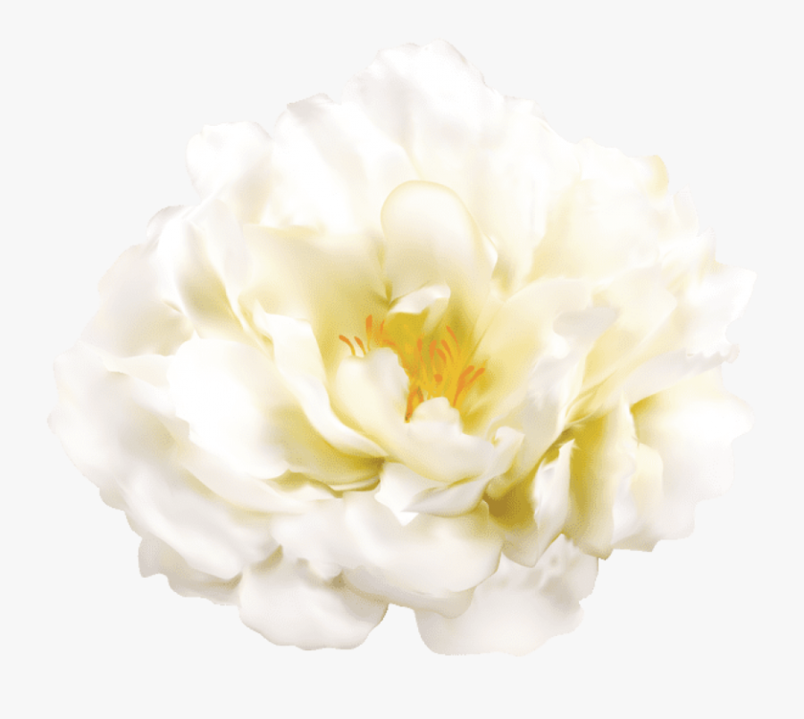 Free Png Download White Flower Transparent Png Images Transparent Png White Flowers Free Transparent Clipart Clipartkey Free Png Download White Flower Transparent Png Images Transparent Png White Flowers Free Transparent Clipart Clipartkey