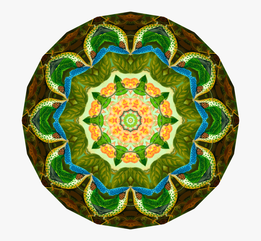 Circle, Transparent Clipart