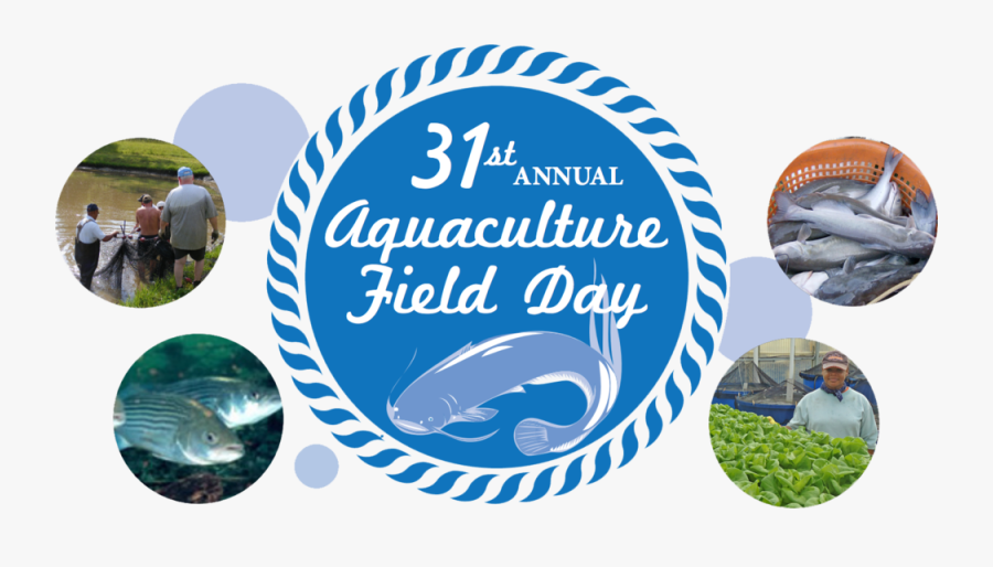 Transparent May Pole Clipart - Dane, Transparent Clipart