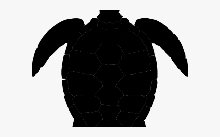 Save The Turtles Logo, Transparent Clipart