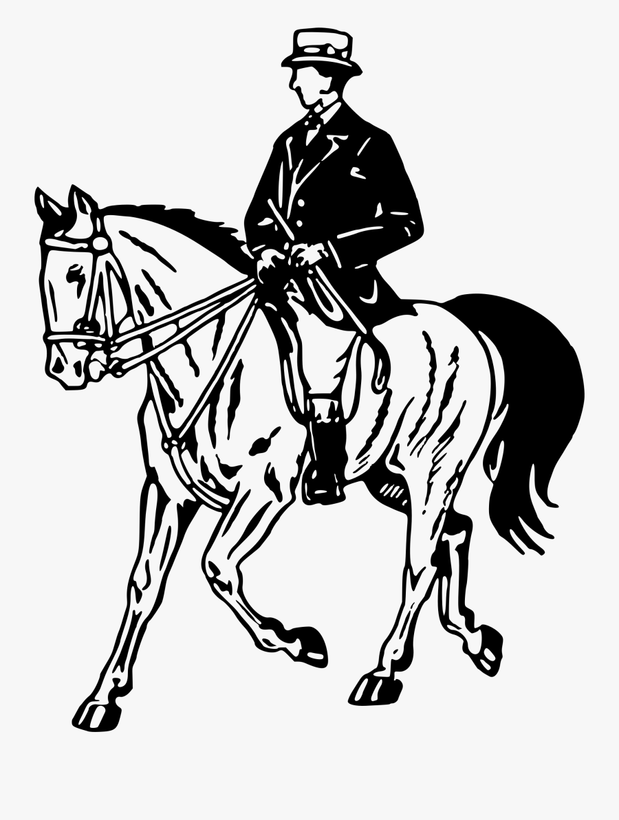 Clip Art Big Image Png - Caballos Con Jinete Vector, Transparent Clipart