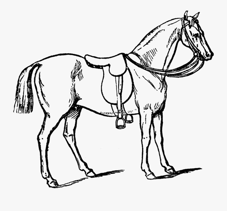Horse With Gear Drawing, Transparent Clipart