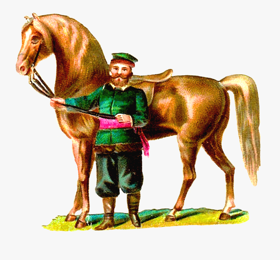 Horse, Transparent Clipart