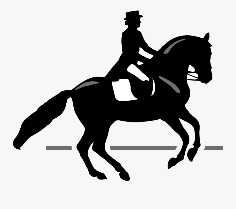 Sport, Horseback Riding, Horse, Dressage, Competition - Instagram Highlights Icons Horse, Transparent Clipart