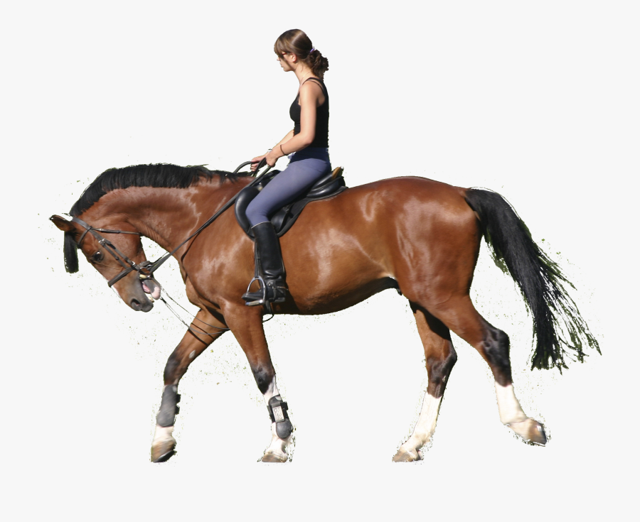 Transparent Horse Jumping Clipart - Horse Riding Png, Transparent Clipart