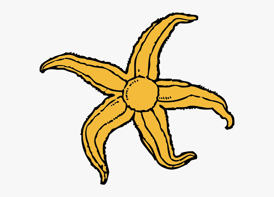 Clipart Starfish, Transparent Clipart