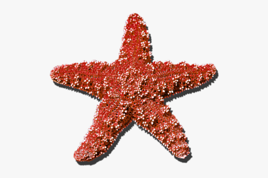 #star #seastar #summer #red #sticker #freetoedit - Blue Sea Star Png, Transparent Clipart