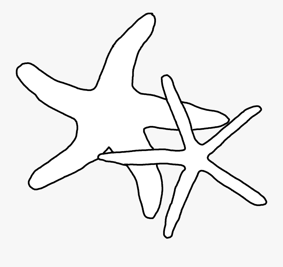 Transparent Sea Star Png - Starfish, Transparent Clipart