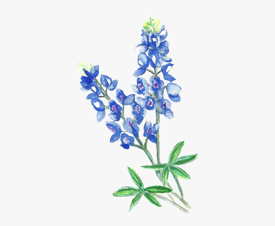 Clip Art Bluebonnets Beach Towel For - Watercolor Bluebonnets, Transparent Clipart