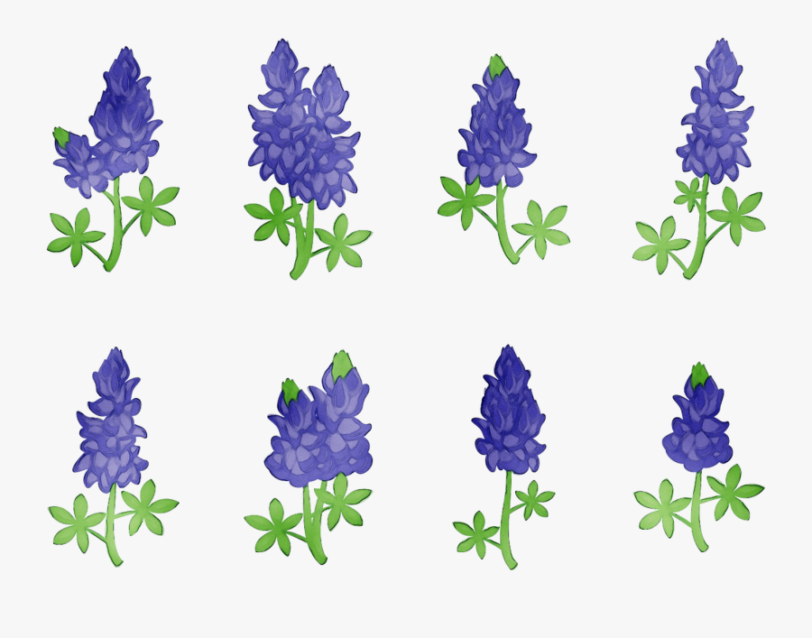 Bluebonnet Purple Lavender Cut Flowers Tree - Bluebonnet Png, Transparent Clipart