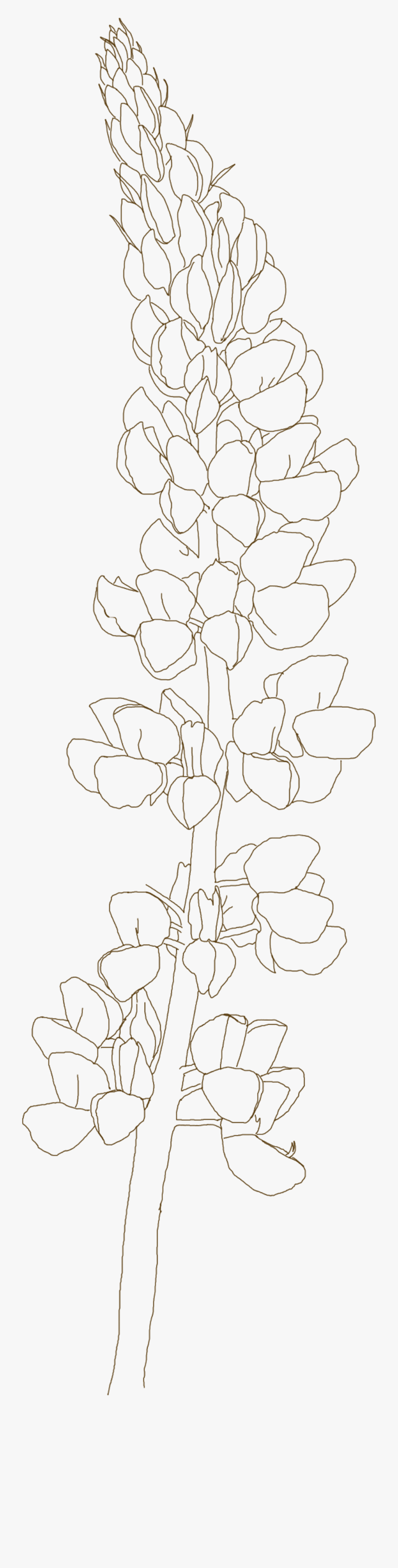 Wildflowers Art Nouveau Custom, Transparent Clipart