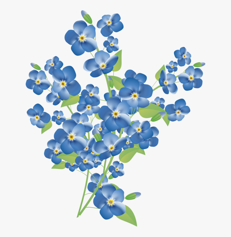 Clip Art Flower Scorpion Grasses Royalty-free Blue - Vergeet Me Niet Bloem, Transparent Clipart