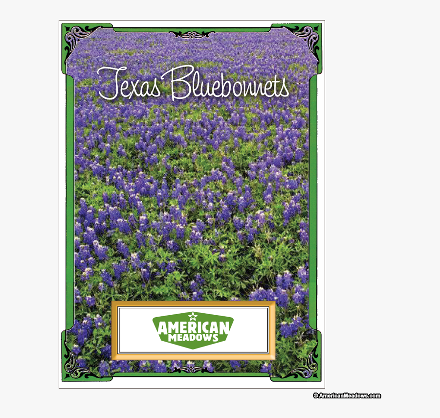 Clip Art Texas Seed Packet American - American Meadows, Transparent Clipart