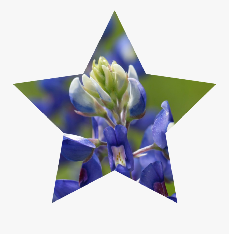 Here"s A Texas-sized Wish For A Great Independence - Bests Hits Icon Png, Transparent Clipart