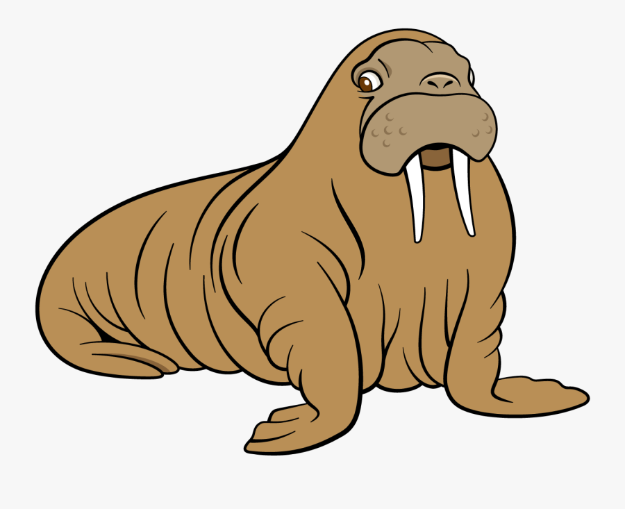 Transparent Walrus Clipart - Walrus, Transparent Clipart