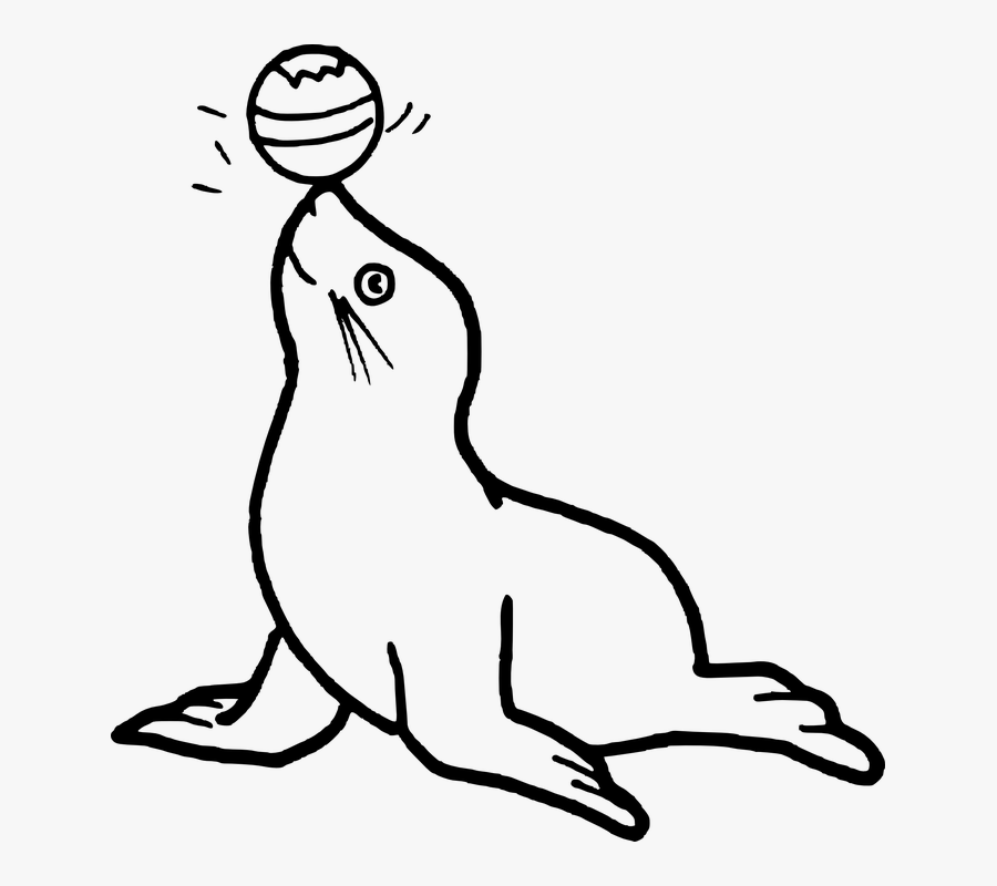 Sea Lion Clipart 25, Buy Clip Art - Dibujo De Una Foca, Transparent Clipart