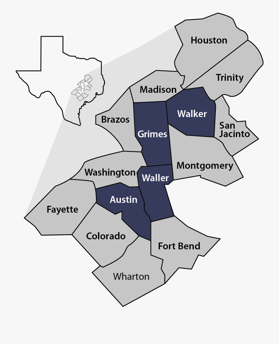 Transparent Bluebonnet Png, Transparent Clipart