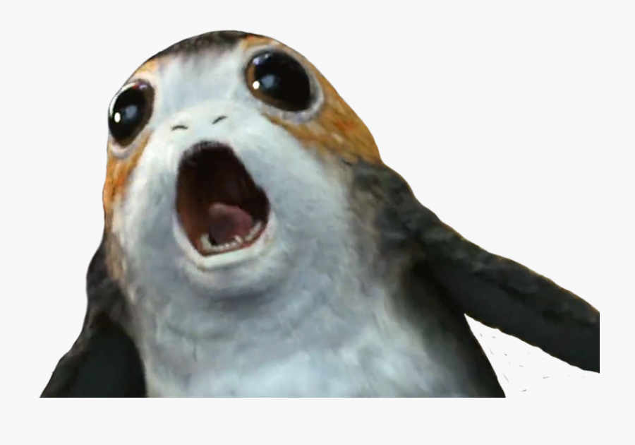 Transparent Sea Lion Png - Otter, Transparent Clipart