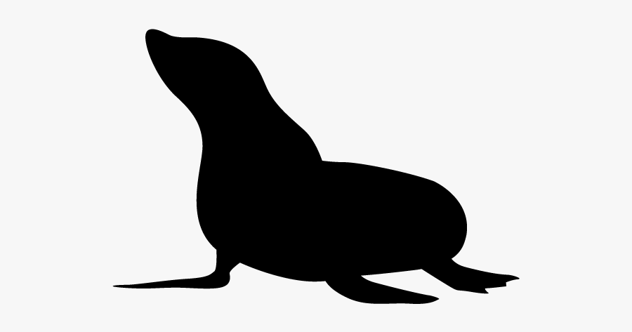 Seals Silhouette, Transparent Clipart