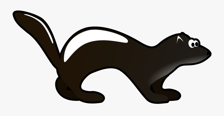Polecat Clipart - European Polecat, Transparent Clipart