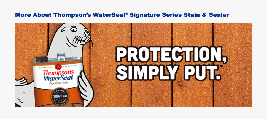 Transparent Seal Animal Png - Pug, Transparent Clipart