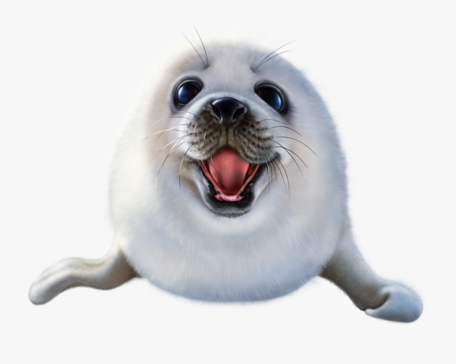 California Sea Lion, Transparent Clipart