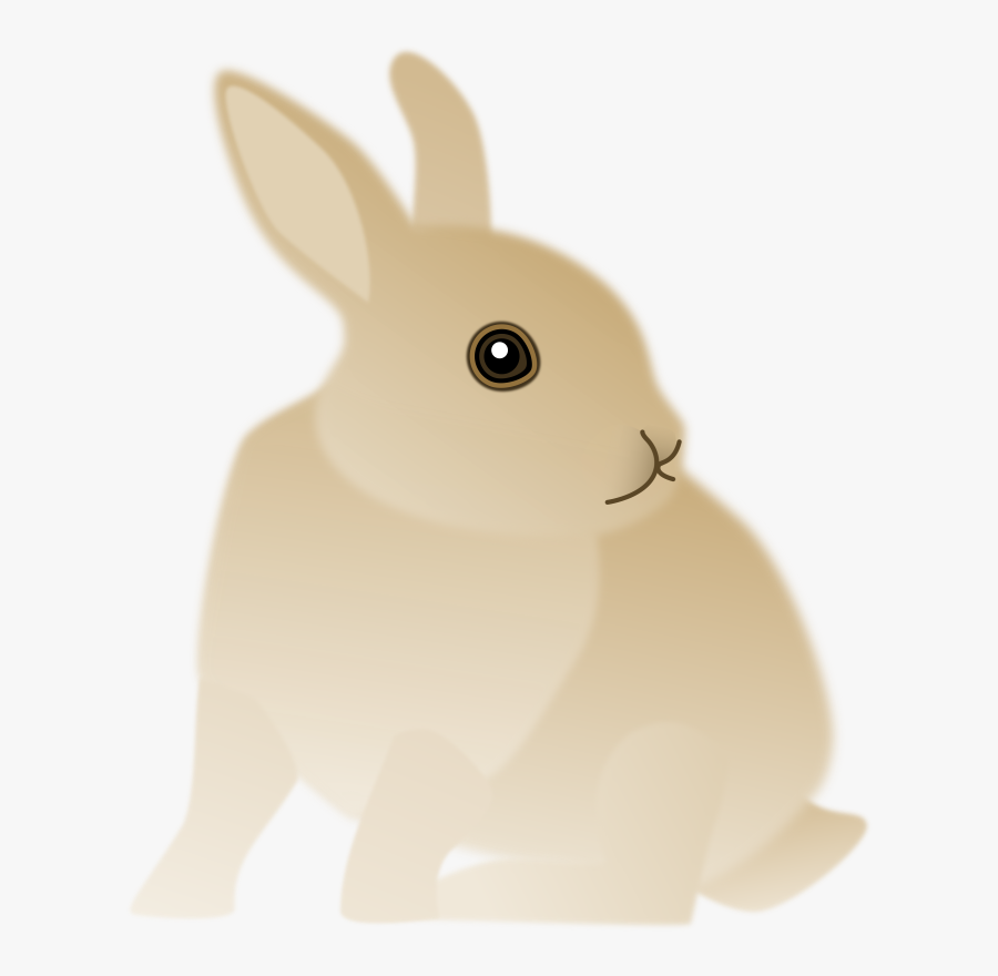 Rabits And Hares,hare,whiskers - Domestic Rabbit, Transparent Clipart