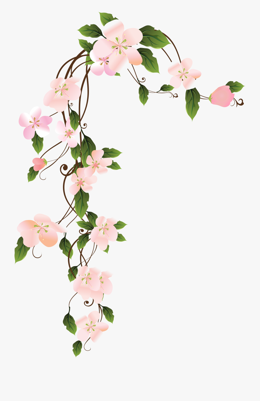 Transparent Hang In There Clipart - Hanging Flowers Transparent Background, Transparent Clipart