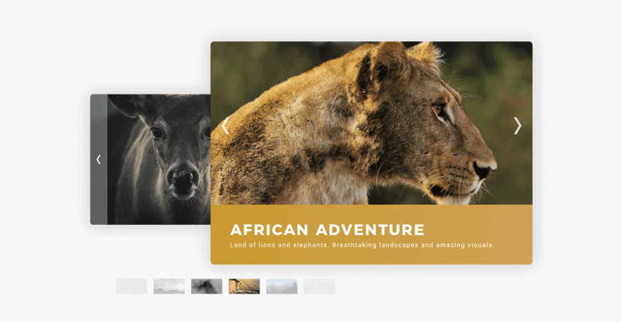 Photo Slideshow Example - Photography, Transparent Clipart