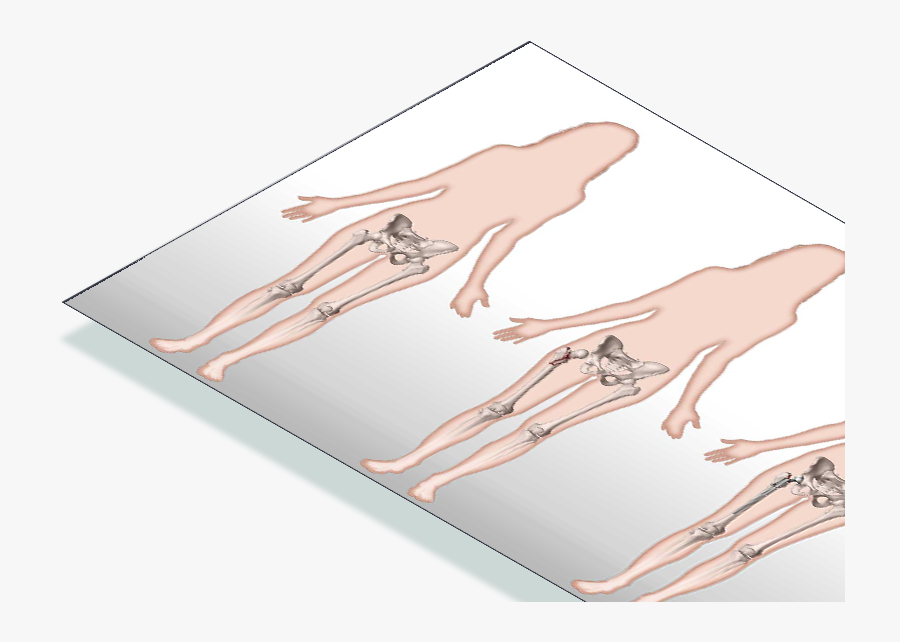 Darkness, Transparent Clipart