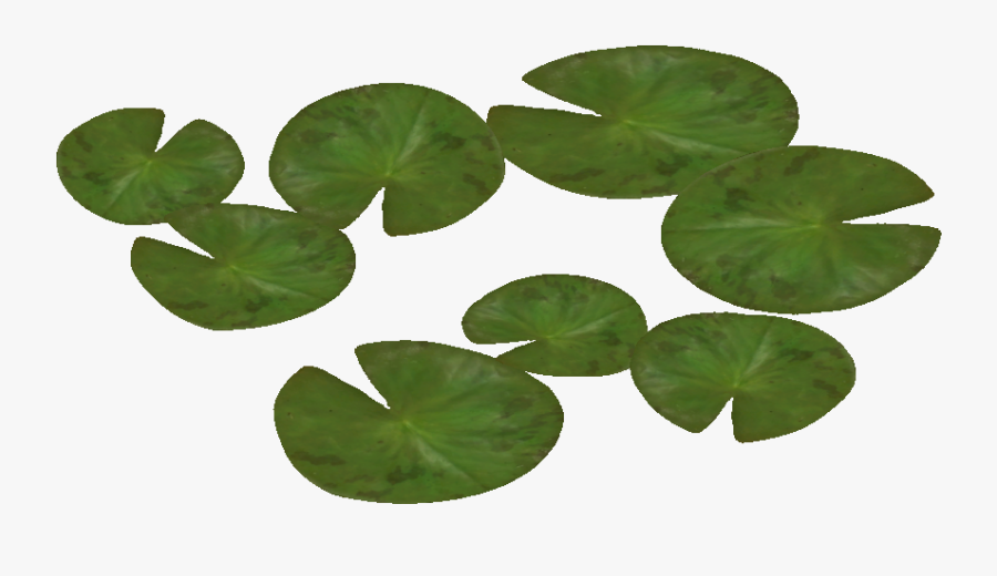 Water Lily Png Pic - Water Lilies Png, Transparent Clipart