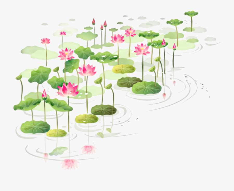 Lotus Clipart Shapla - Water Flower Png, Transparent Clipart