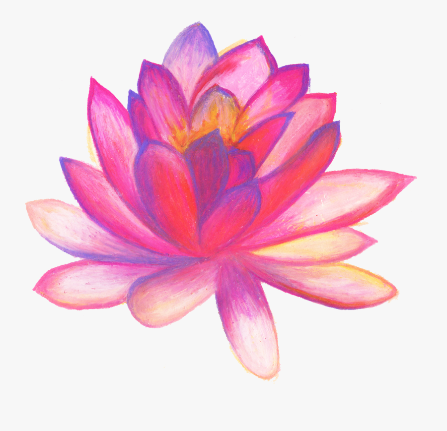 Clip Art Poster Hand Drawn With - Drawn Picture Of A Flower, Transparent Clipart