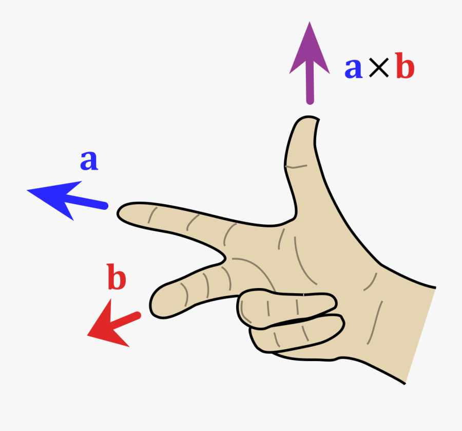 Mirror Vector Hand Holding - Right Hand Rule Vector, Transparent Clipart