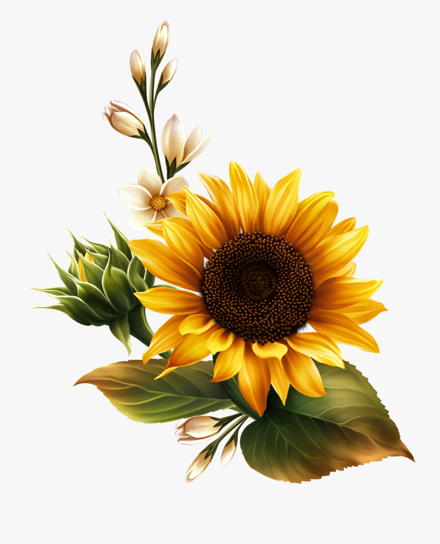 Sunflower Hand Painted Clipart Gold Image And Transparent - Multi Color Sunflower Clipart, Transparent Clipart