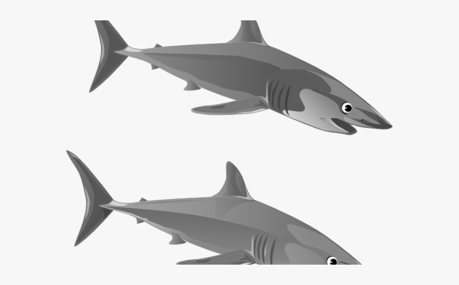 Transparent Shark Clipart Black And White - Gambar Animasi Ikan Hiu, Transparent Clipart