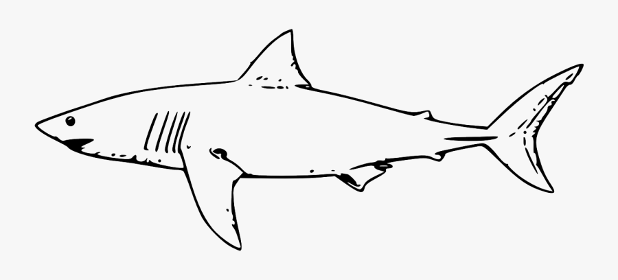 Sharks Black And White, Transparent Clipart