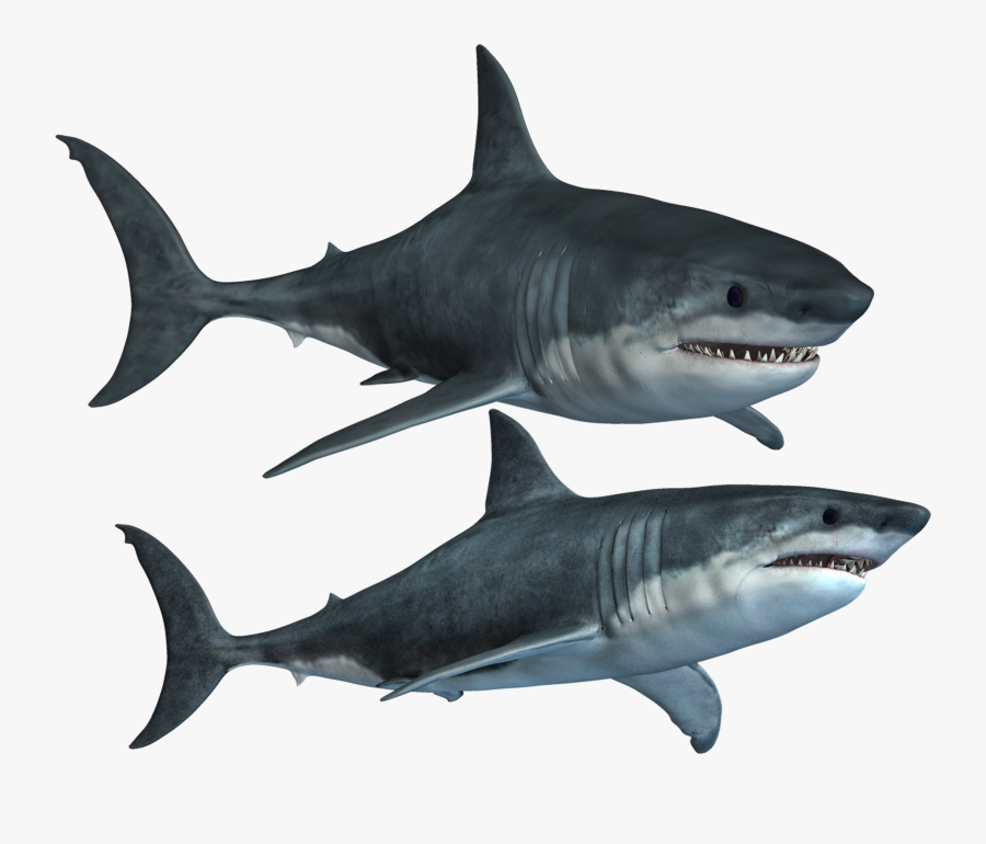 Great White Shark Clipart High Resolution - Great White Shark High Resolution, Transparent Clipart