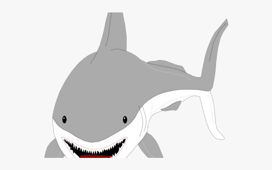 Shark, Transparent Clipart