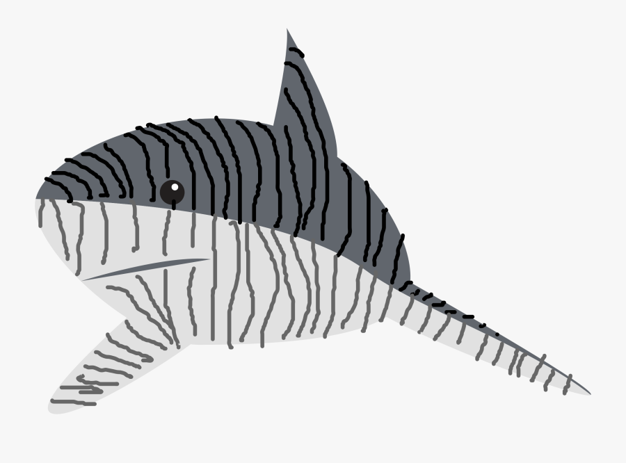 Tiger Shark Drawing Line Art Great White Shark - Tiger Shark, Transparent Clipart