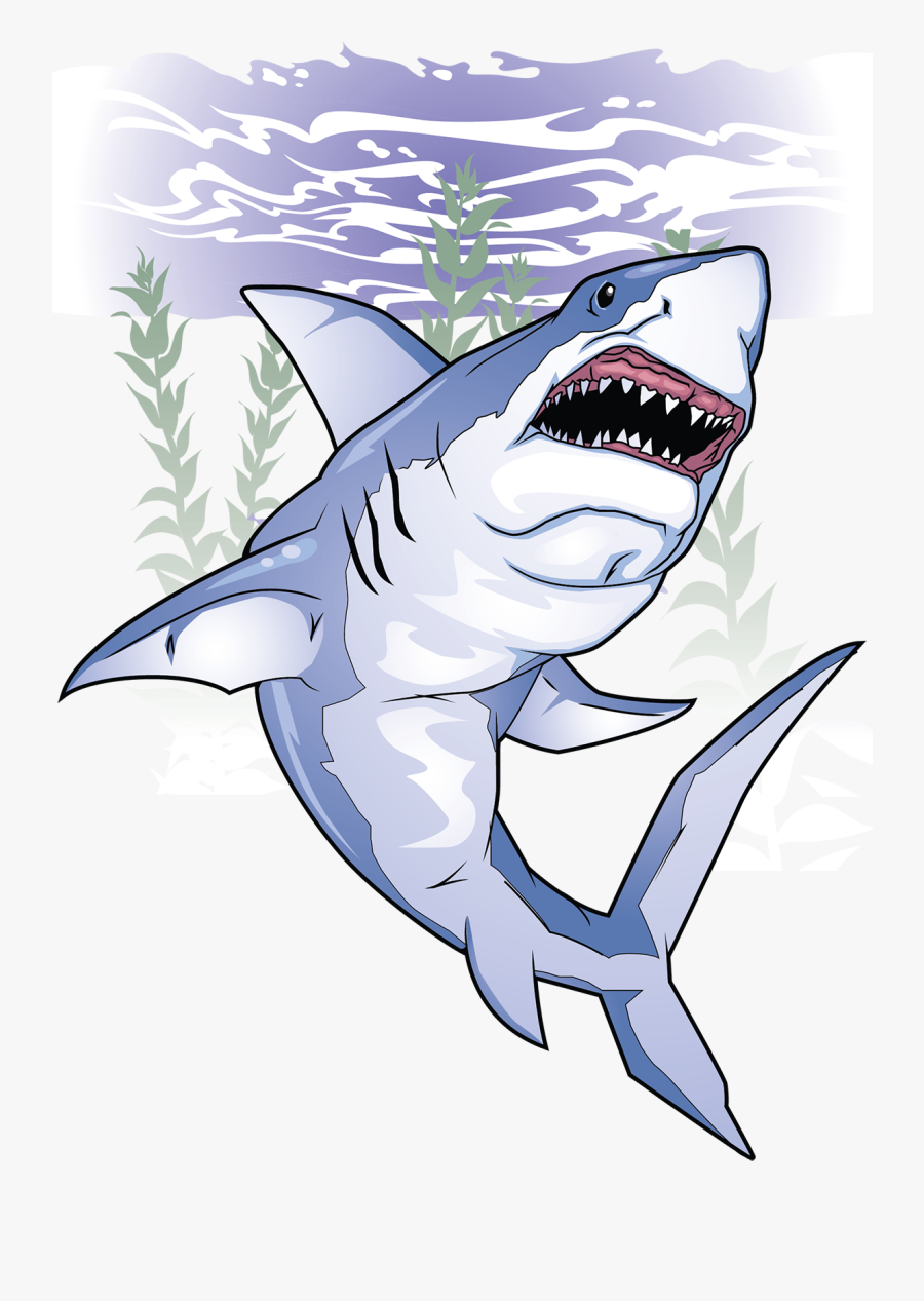 Shark, Transparent Clipart
