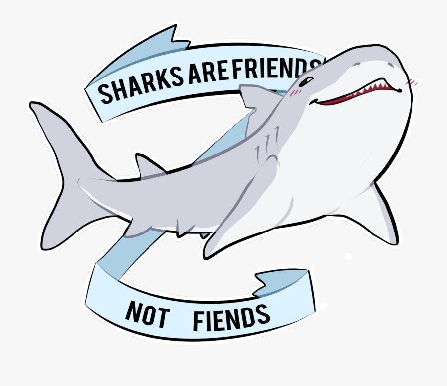 Great White Shark Cartoon Drawing - Sharks Are Friends Not Friends, Transparent Clipart