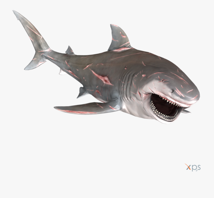 Bull Shark Png Graphic Transparent Stock - Great White Shark Transparent Background, Transparent Clipart