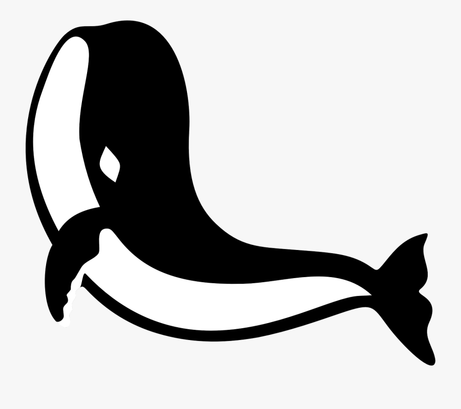 Shark Clip Arts - Clipart Baleia, Transparent Clipart